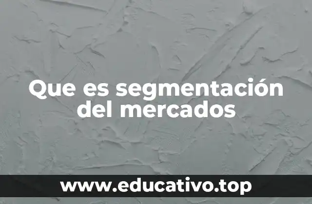 Que es segmentación del mercados