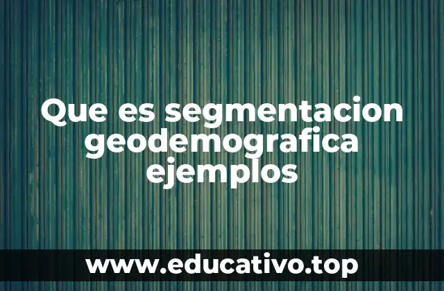 Que es segmentacion geodemografica ejemplos