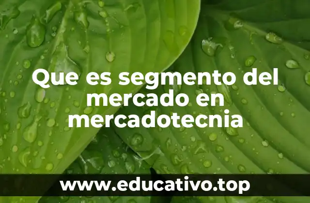 Que es segmento del mercado en mercadotecnia