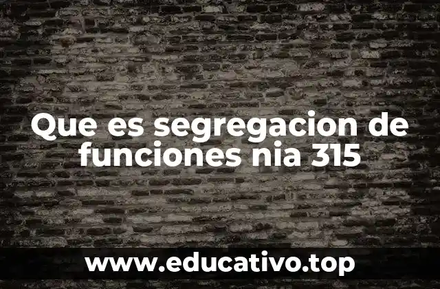 Que es segregacion de funciones nia 315