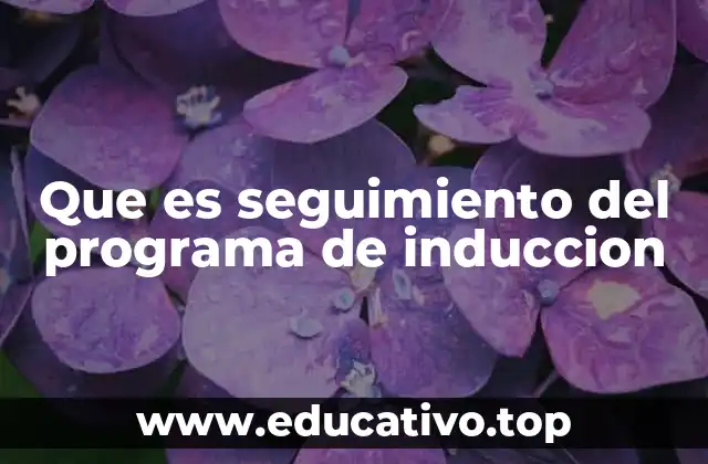 Que es seguimiento del programa de induccion