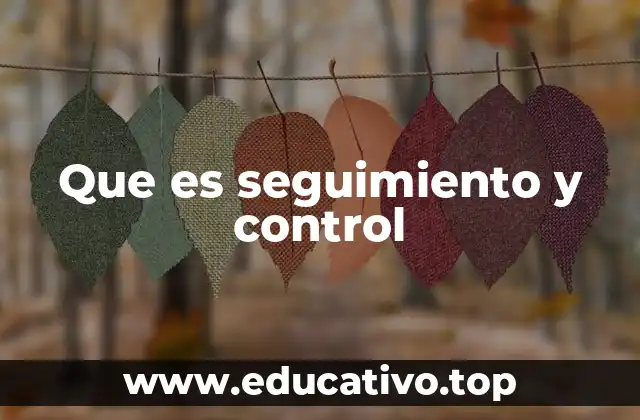 Que es seguimiento y control