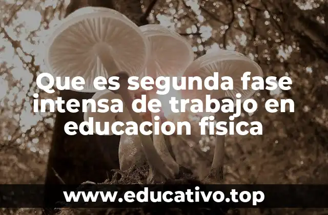 El rol de la segunda fase intensa en el desarrollo físico escolar