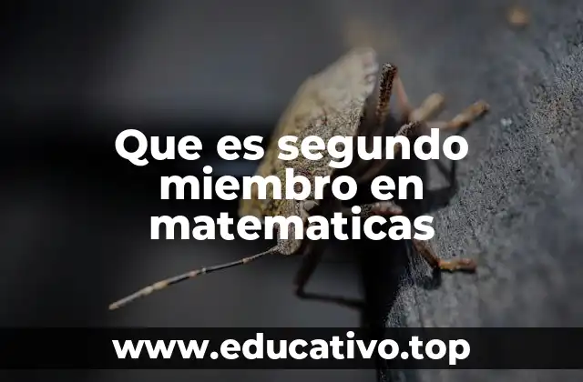 Que es segundo miembro en matematicas