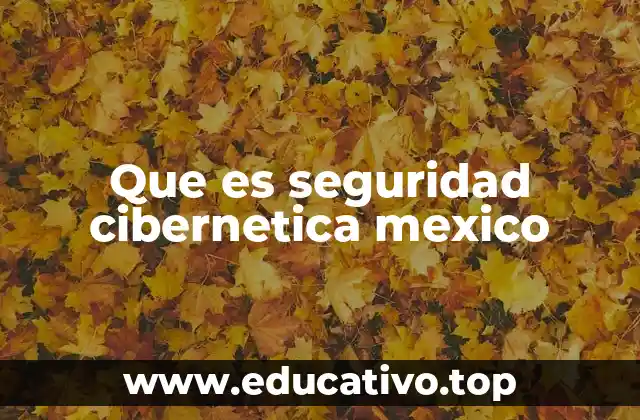 Que es seguridad cibernetica mexico