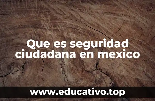 Que es seguridad ciudadana en mexico