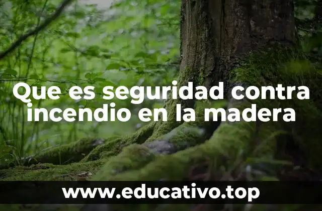 Que es seguridad contra incendio en la madera