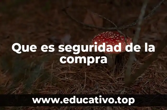Que es seguridad de la compra