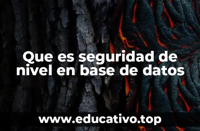 Que es seguridad de nivel en base de datos