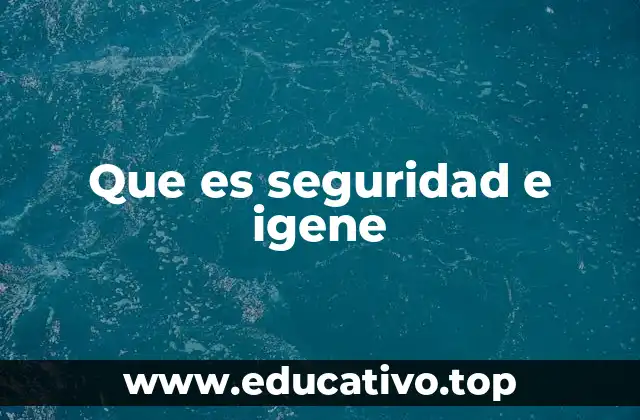 Que es seguridad e igene