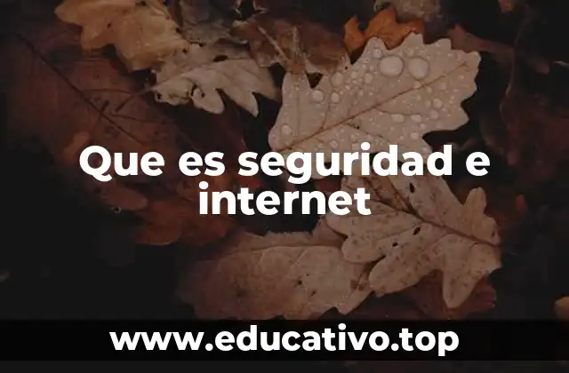 Que es seguridad e internet