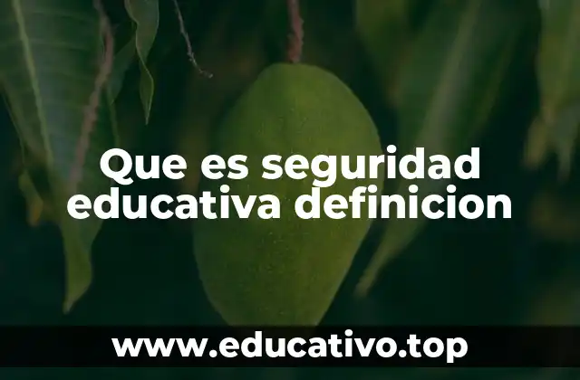 Que es seguridad educativa definicion