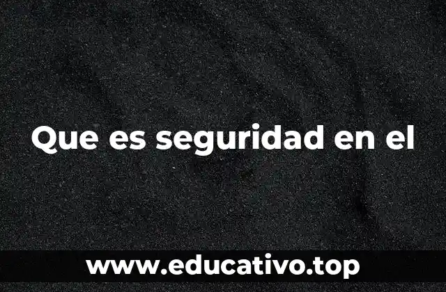 Que es seguridad en el