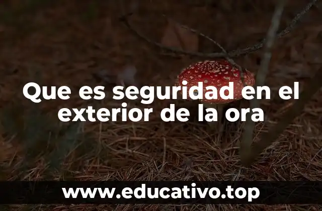 Que es seguridad en el exterior de la ora