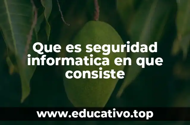 Que es seguridad informatica en que consiste