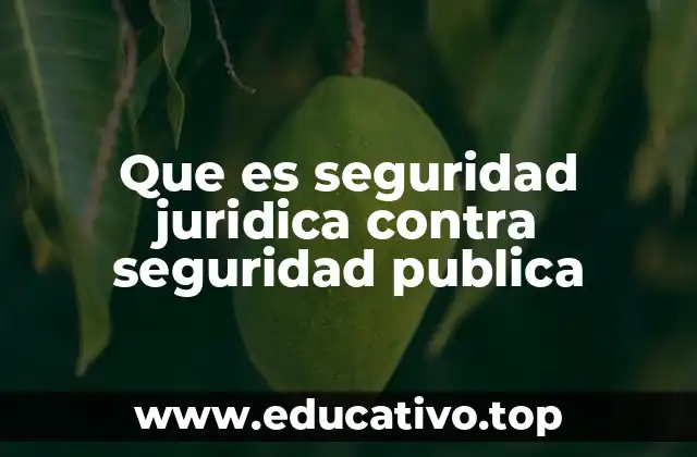 Que es seguridad juridica contra seguridad publica