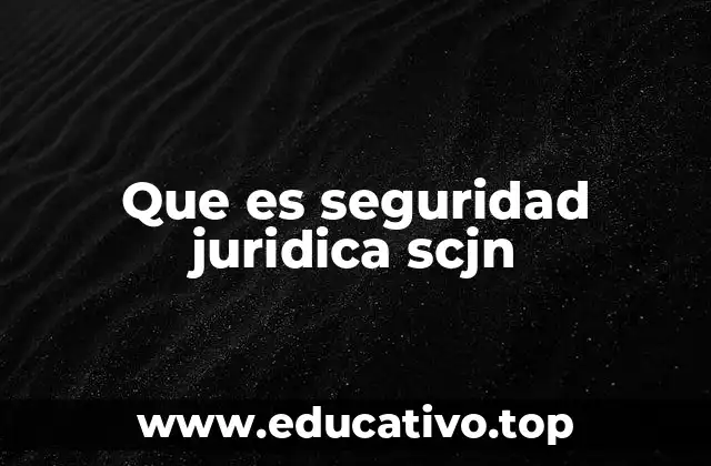 Que es seguridad juridica scjn