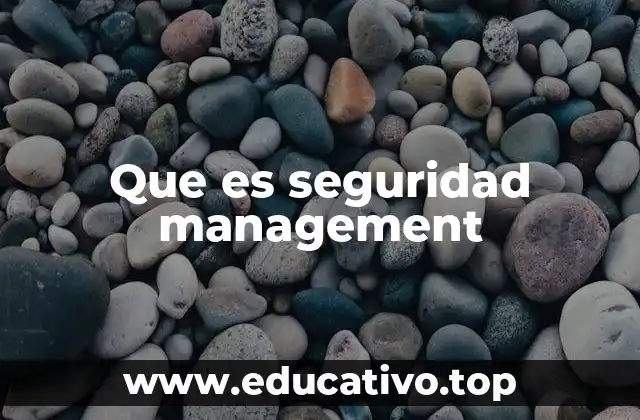 Que es seguridad management