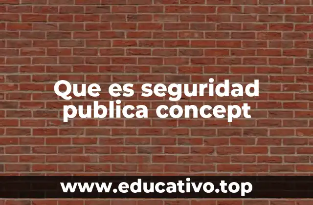 Que es seguridad publica concept