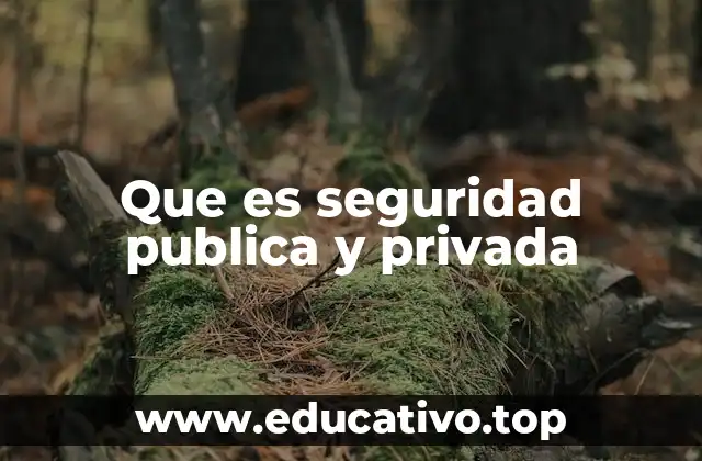 Que es seguridad publica y privada