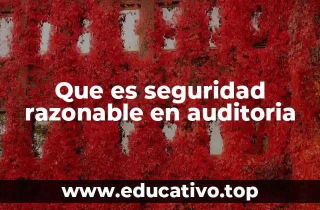 Que es seguridad razonable en auditoria