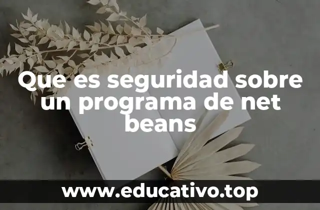 Que es seguridad sobre un programa de net beans