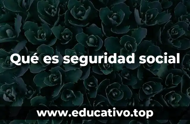 Qué es seguridad social