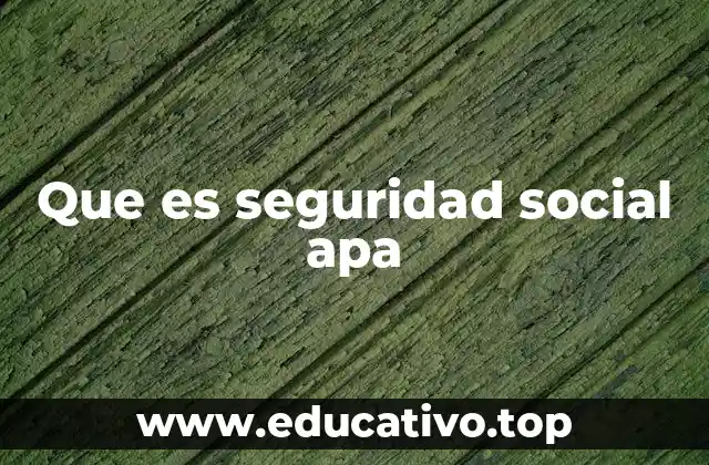 Que es seguridad social apa