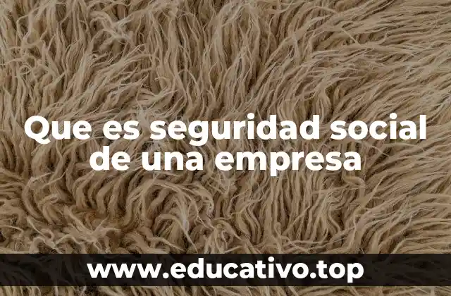 Que es seguridad social de una empresa