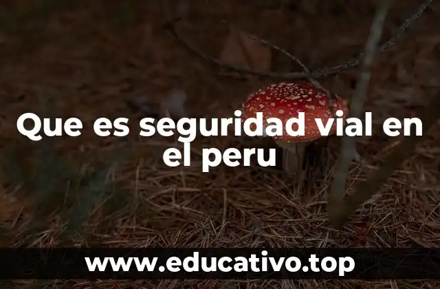 Que es seguridad vial en el peru