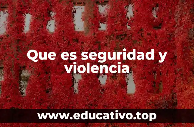 Que es seguridad y violencia