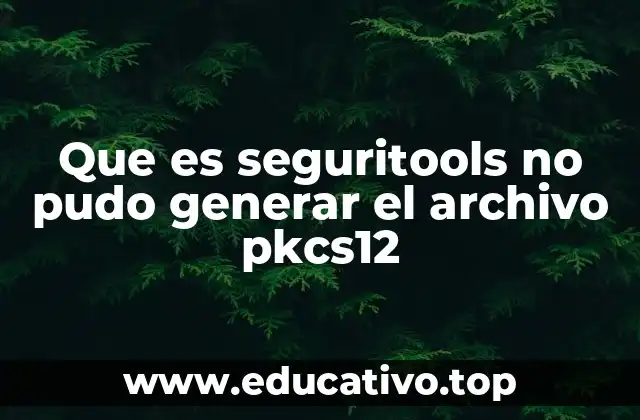 Causas comunes detrás del fallo en la generación del PKCS12