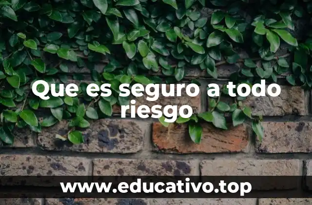 Que es seguro a todo riesgo