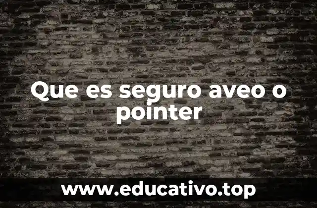 Que es seguro aveo o pointer