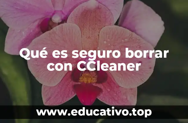 Qué es seguro borrar con CCleaner