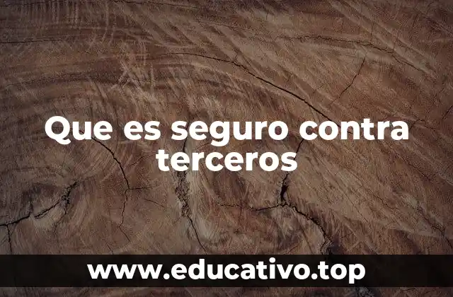 Que es seguro contra terceros
