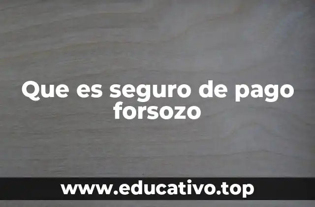Que es seguro de pago forsozo