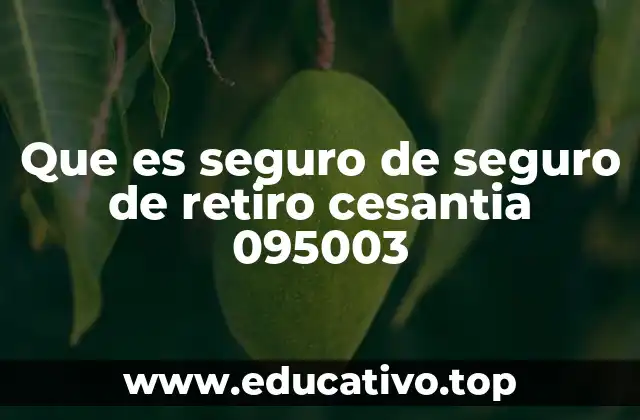 Que es seguro de seguro de retiro cesantia 095003