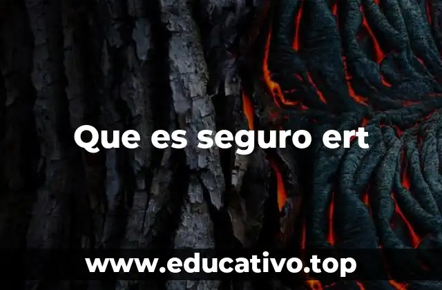 Que es seguro ert