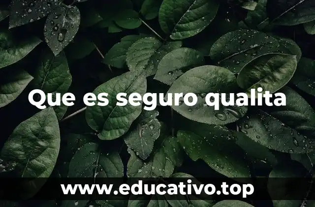 Que es seguro qualita
