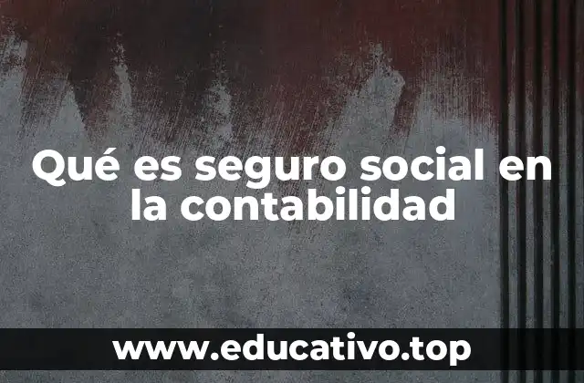 Qué es seguro social en la contabilidad