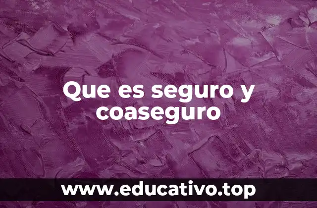 Que es seguro y coaseguro