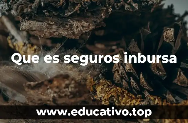 Que es seguros inbursa