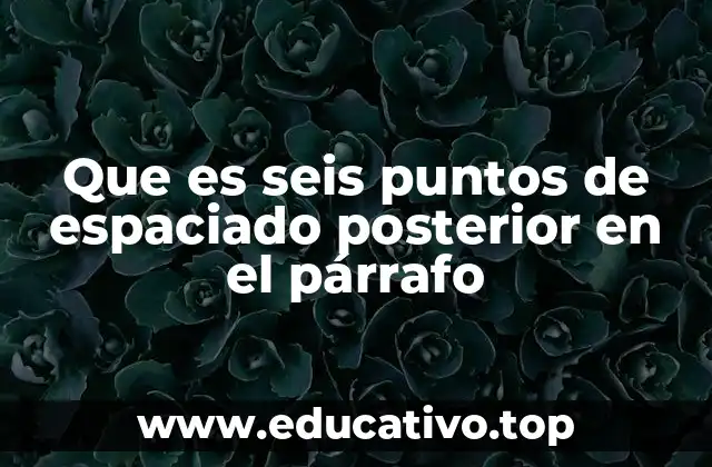 Que es seis puntos de espaciado posterior en el párrafo