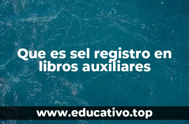 Que es sel registro en libros auxiliares