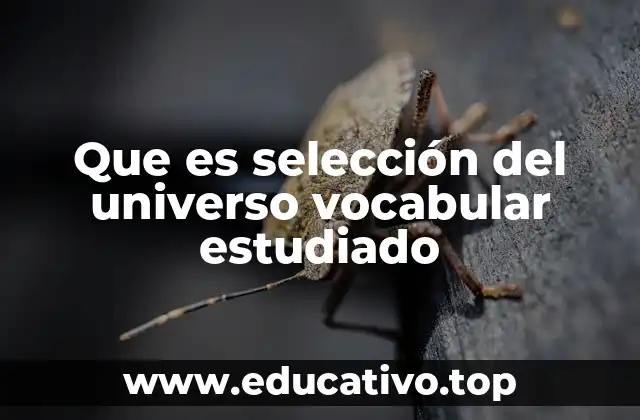 Que es selección del universo vocabular estudiado