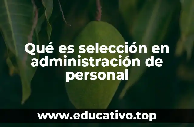 Qué es selección en administración de personal