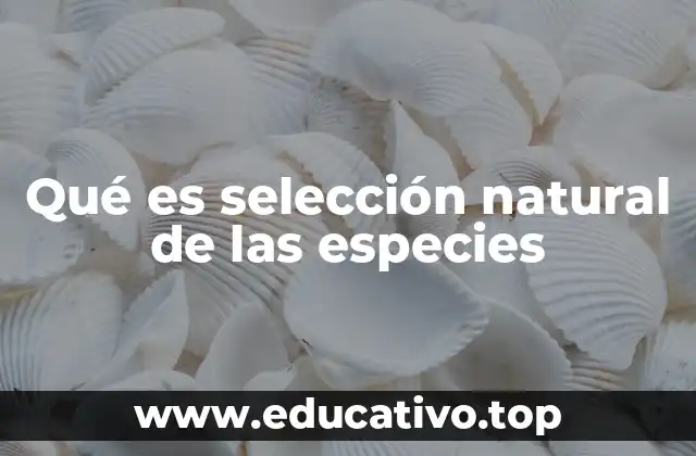 Qué es selección natural de las especies