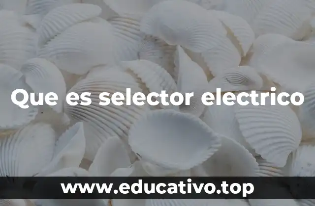 Componentes y funcionamiento básico de los selectores eléctricos