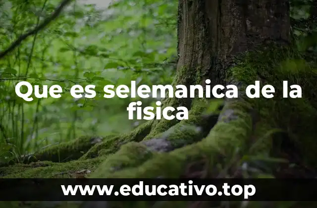 Que es selemanica de la fisica